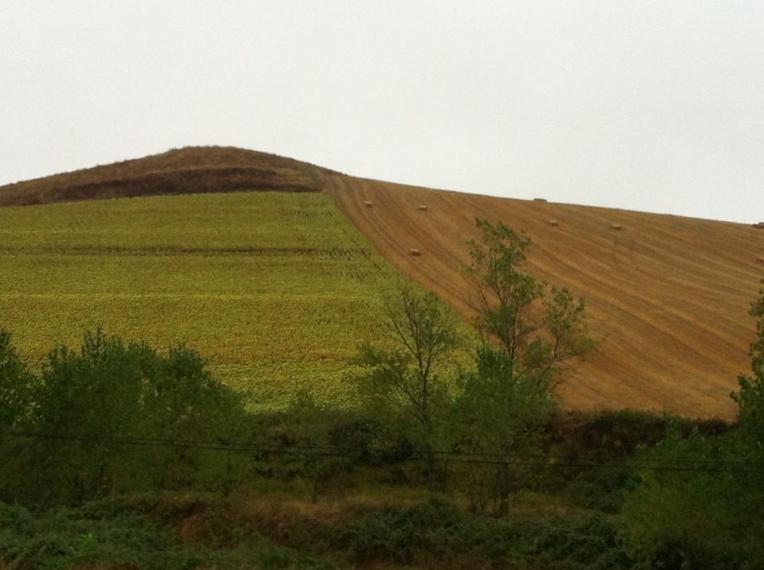Agriculture vista, Belarado