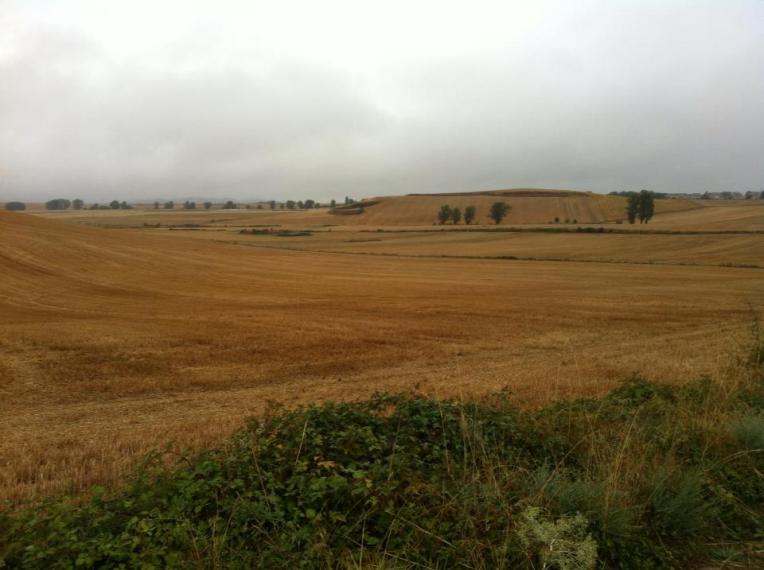 Farmland outside of Azofra