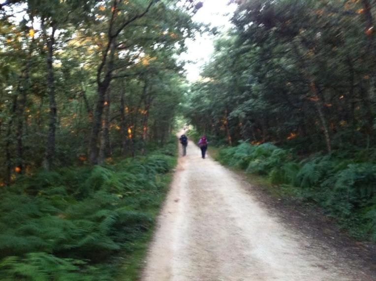 Trail at first light, near Villafranca Montes de Oca