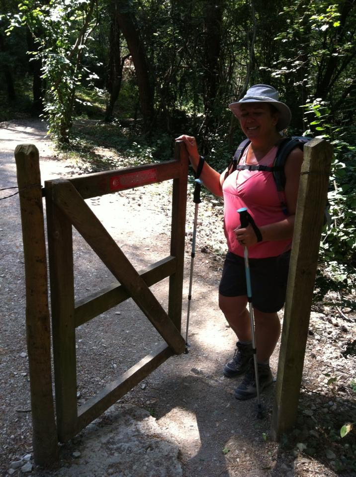 One of the many livestock gates along the Camino, this one near Alto de Erro