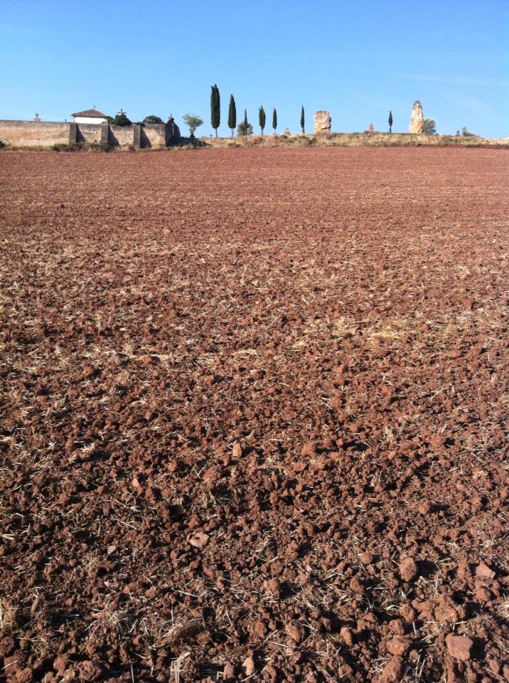Plowed field near Villatuerta