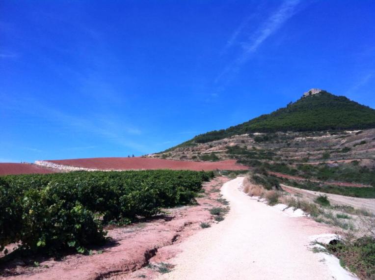 Trail to Villamayor de Monjardin