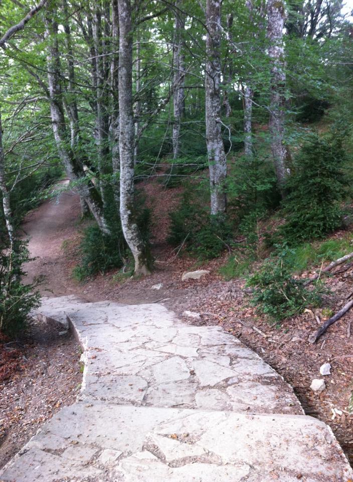 The pathway leading down into Biskerrita