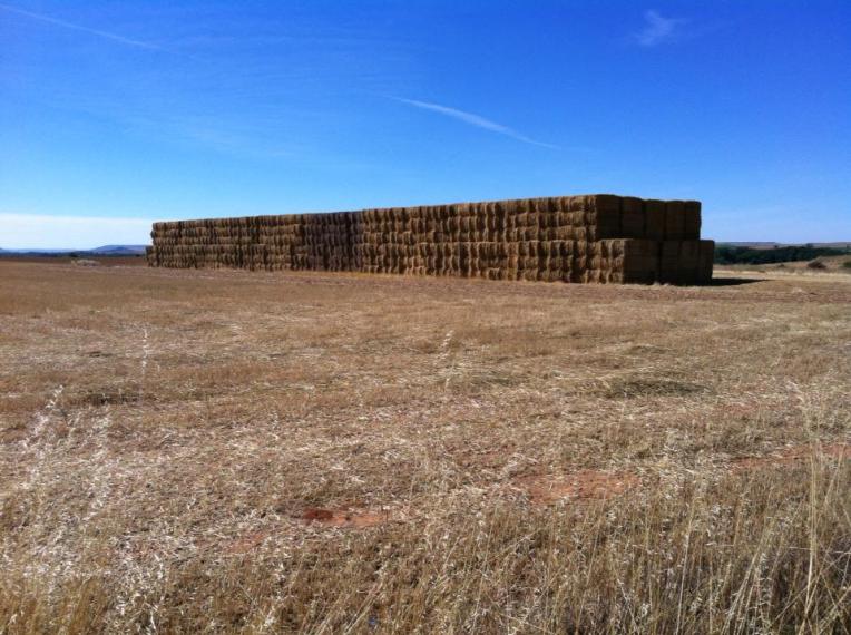 Hayfield and haybales outside of Hontanas