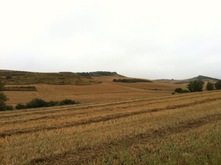 Farmland outside of Castildelgado