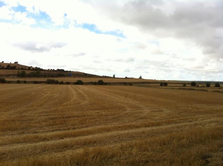 Farmlands near Cardenuela