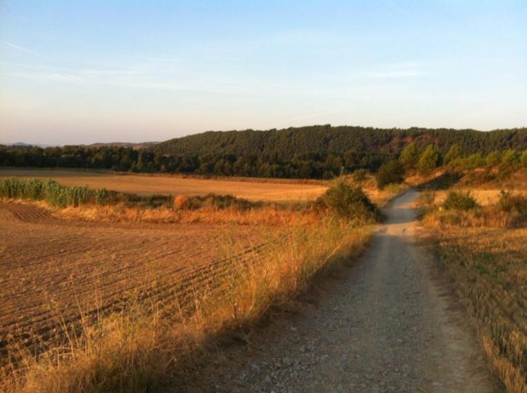 Trail near Villatuerta