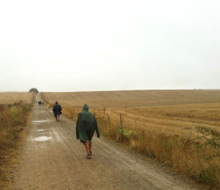 Trail from Ciruena to Santo Domingo de la Calzada