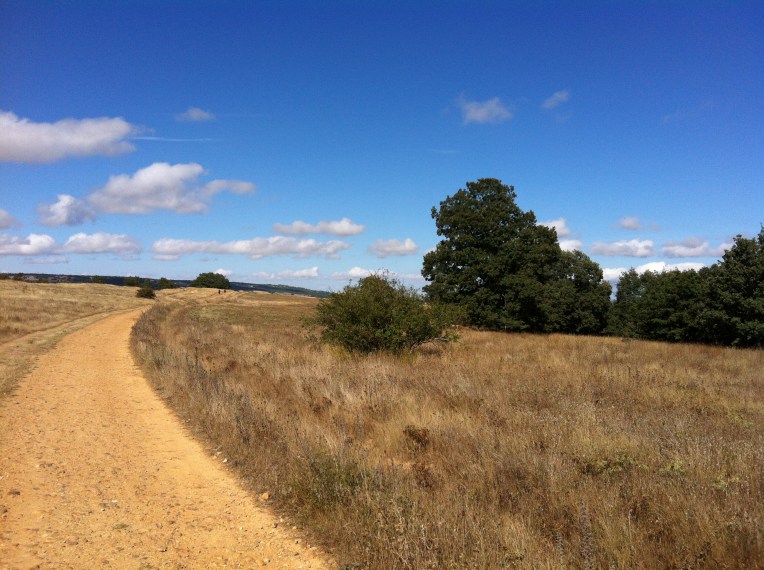 Meseta-like trail crossing the mountains to San Juan de Ortega