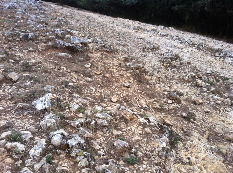 Trail from Atapuerca to Cadrenuela