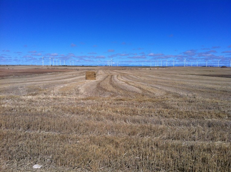 Agriculture of the Meseta near Hornillos del Camino