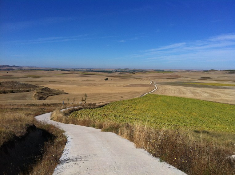 The trail from the summit of “Liar’s Hill”