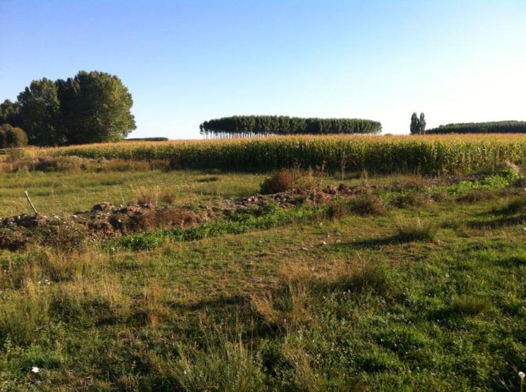 Farmland near Astorga