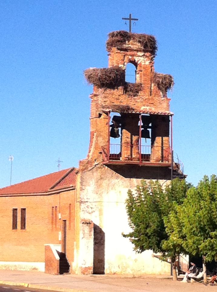 Church in San Miguel, with huge nests in the bell façade