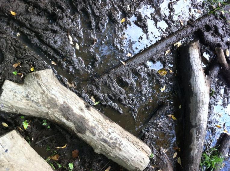 Mud and debris | Surface change 4 on trail leaving Riego de Ambrós