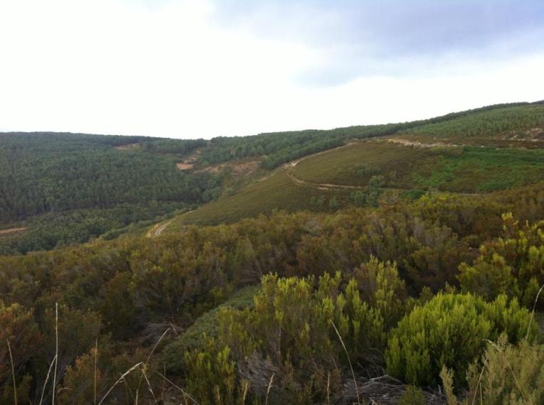 Vista from rest area ascending to Cruz de Ferro
