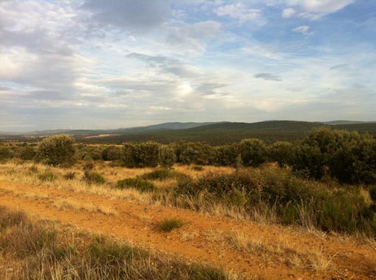 Vista near Santa Catalina de Somoza