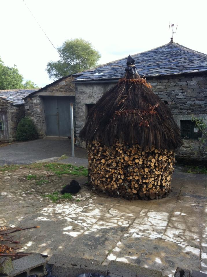 Thatch-covered firewood storage