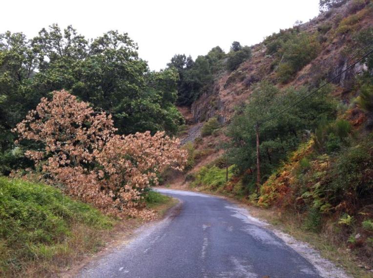 Route outside of Villafranca del Bierzo, approaching Pereje