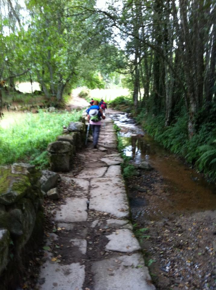 Tracy on trail near Ferrerios