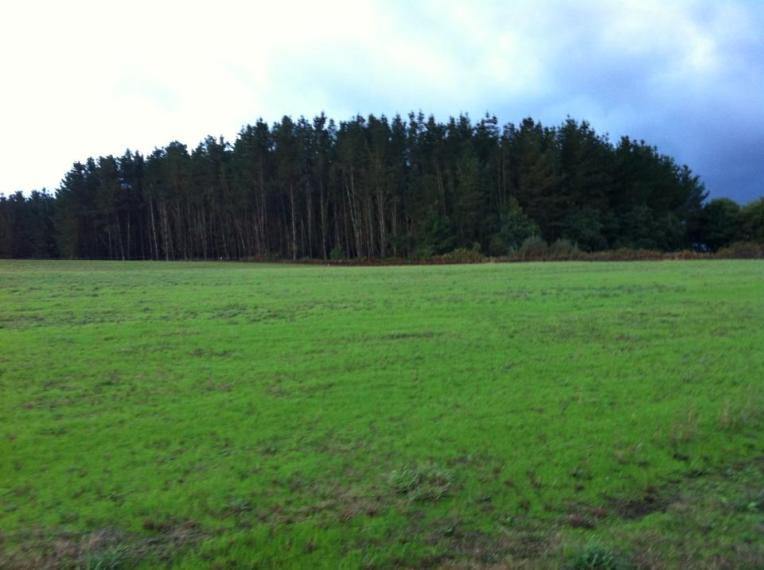 Vista near Palas de Rei