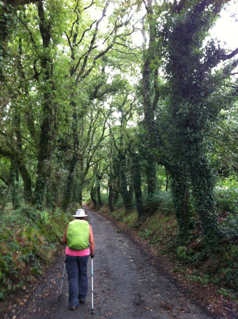 Tracy walking along the tree lined path near Hospital de la Condesa
