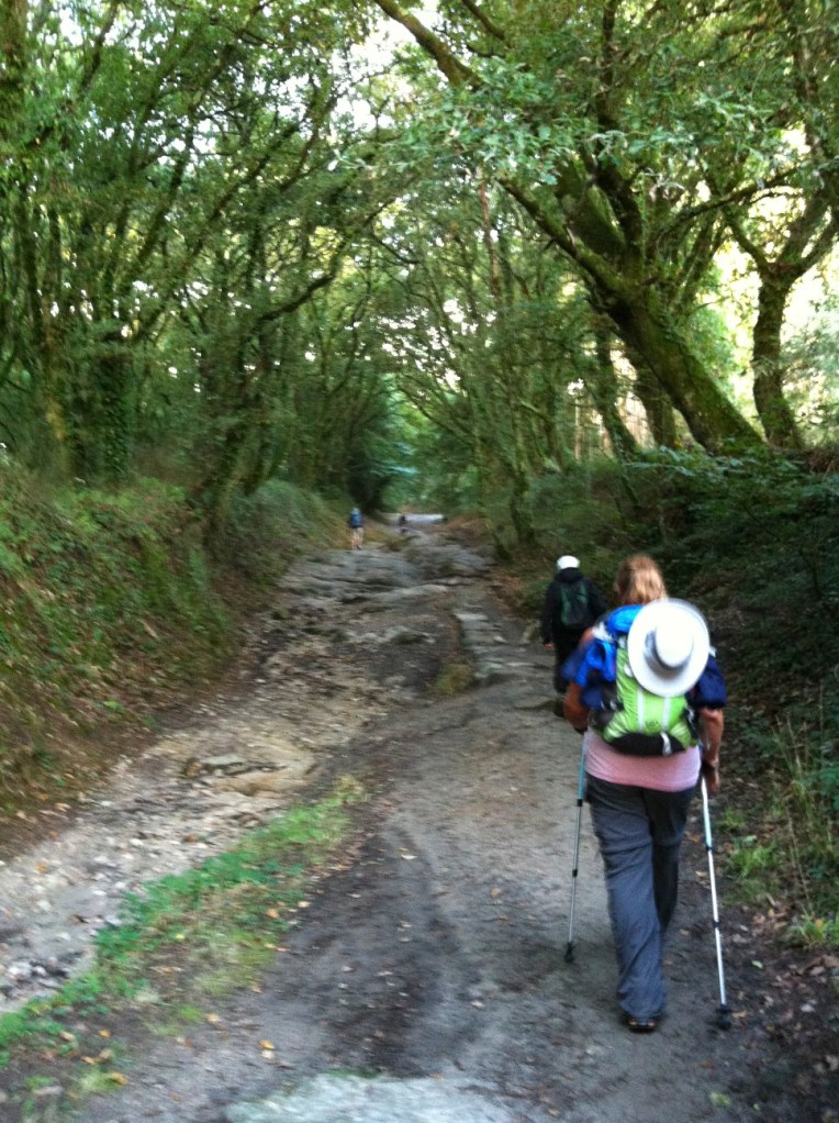 Tracy on the trail near Casanova