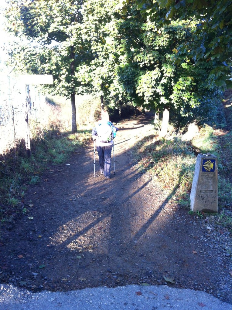 Tracy on trail near Santiago