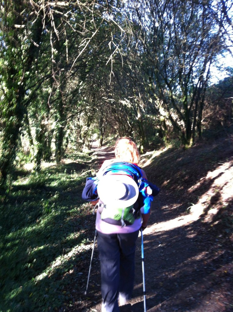 Tracy on trail near Villamaior