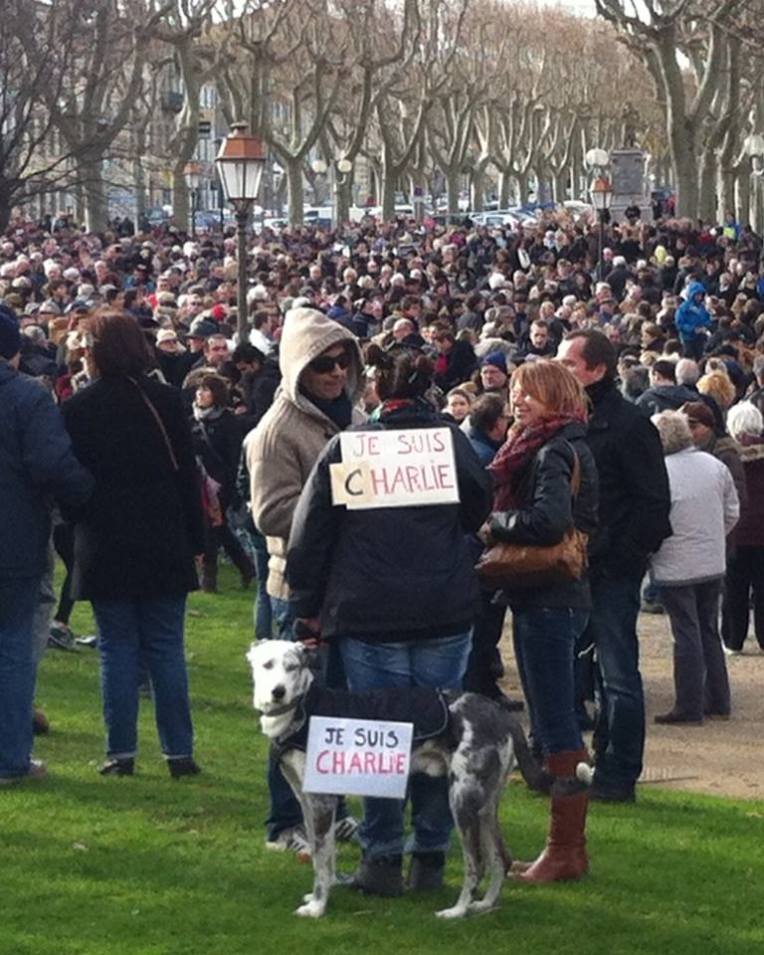 Carcassonne Unity Rally