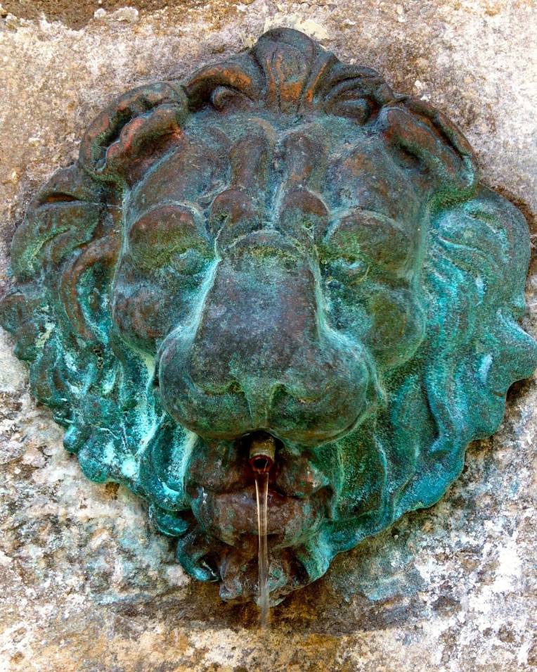 Verdigris on the lion's head fountain located behind the Portail des Jacobins (Jacobin Gate.)