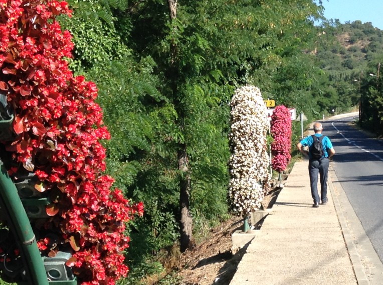 Alan on the walk out to Les Orgues