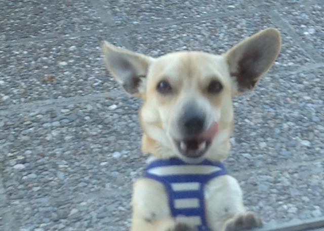 "I regret NOTHING!!"